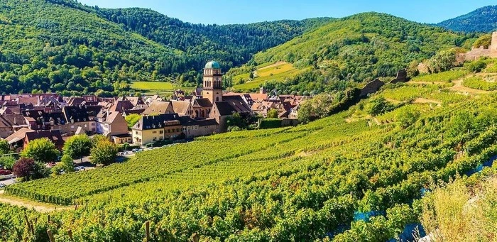 Des nouvelles du Front de L’Est !